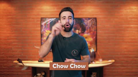 how to defriction your chow chow