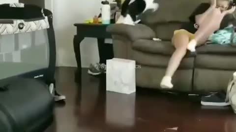 LOOK WHAT THIS CAT DID TO HER ‖ funny video