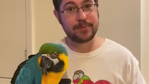 Thanksgiving Parrot Tips