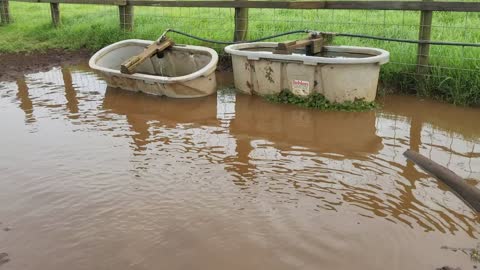 Scenes from the off grid ranch