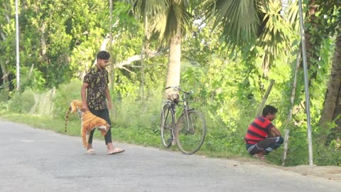 "Witness the Crazy Public Reactions in Grandpa's Fake Tiger Prank!"