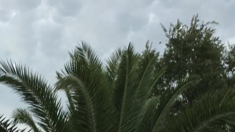 Mesmerizing Mammatocumulus Cloud Formation Fills Sky