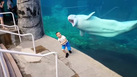 Funny Kids at the Aquarium [] Girl SPOOKED By A Beluga Whale!