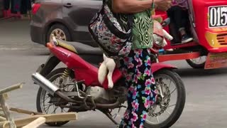 Dog Patiently Waits on Motorcycle