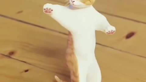 Cat is dancing in her own way 🤣😄