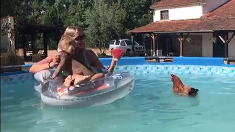 Swimming Chicken Photobombs Shoot