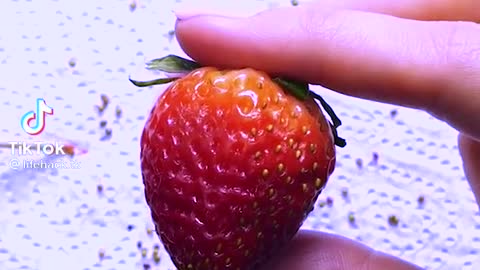 How to grow strawberries-life hack