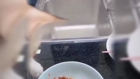 the cat knows how to cook for the owner