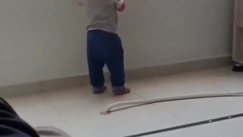 cat prevent the child from jumping off the balcony of the building