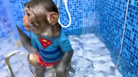 Monkey baby Bon bon forget to turn of the water cartoon