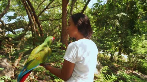 Parrot plays peekaboo with himself in