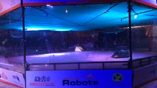 Roboriots BT Young Scientist Dublin 2016: Ripper Vs Iron Awe 5