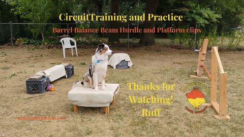 Circuit Training and Practice 2