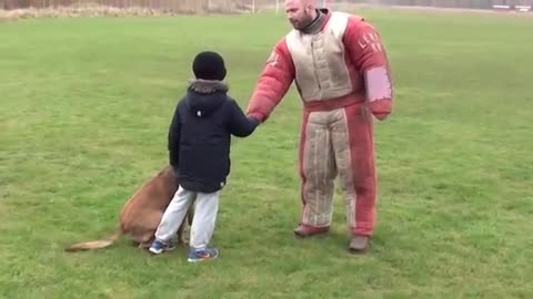 Personal/family protection dog training in academy