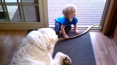 dog and baby funny video Benton hugs on Max