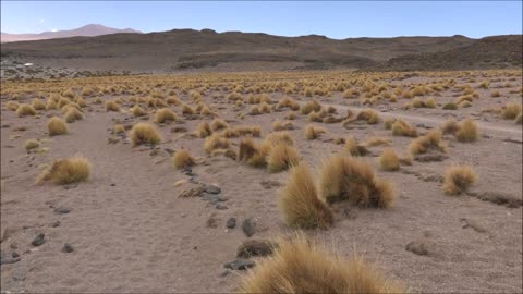 Sala de Tara at Atacama desert in Chile