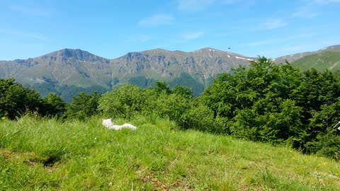 Green View Of Stara Planina Central