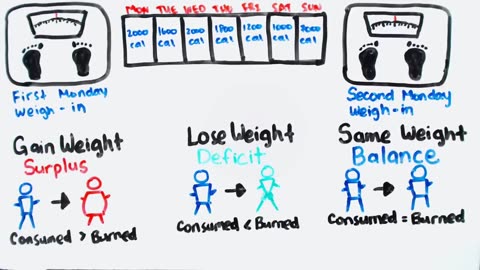 How to loss weight?