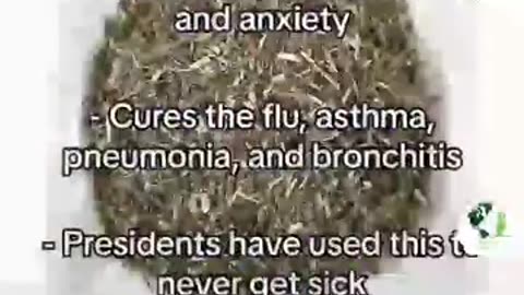 HEALING HERBS THE D'ELITES DONT WANT YOU TO KNOW ABOUT