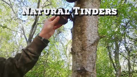 Natural Tinder. Bracken and a Ferro Rod.