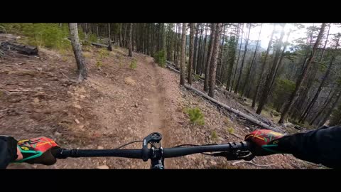 Colorado Trail descent from Muggins Gulch