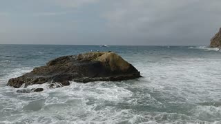 Seal Resting on Dana Point Rock