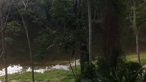 19.9.2024 The Barron River, Kuranda (3)