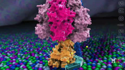 A FOTOSSÍNTESE Complexidade Irredutível e Antevidência