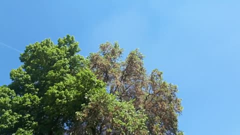 Himmel in Berlin am 18. Mai 2022 kurz nach 13 Uhr