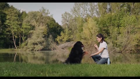 Happy Young Woman Working As Dog Sitter Training Animal