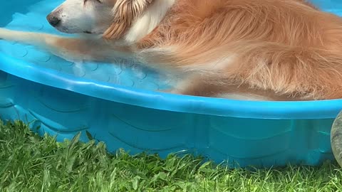 Mr Kapena Boy Relaxing in his pool