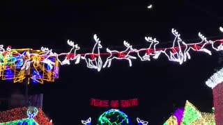 Disney Osborne Lights