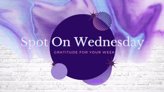 Spot on Wednesday 001