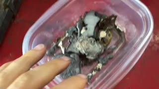 Pouring a Peter the Great Bust from coin silver