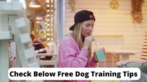 Dog Training Guide