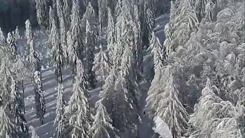 Snow covered mountains and trees #shorts​ #beautifuldestinations​ #travel