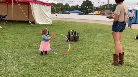 Border Collie Herds Ducks Through Hoop With a Little Helper