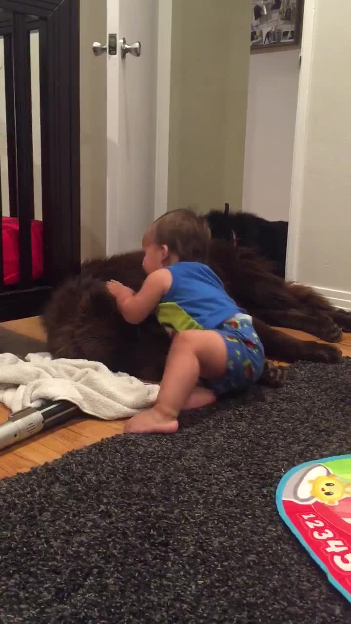 Priceless moment captured between baby and dog