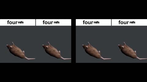 four rats