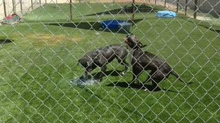 Another Day at the Rescue Water Playland