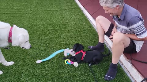 Ava and Freddy playing first day