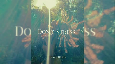 Blvckbyrd - No Stress