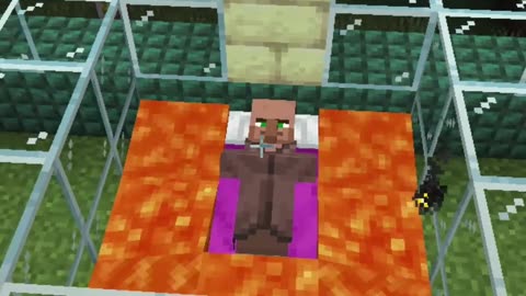 Minecraft Villagers sleeps Experiments