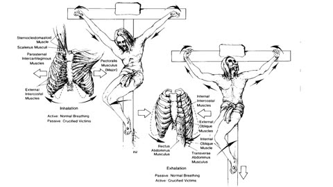 Crucifixion: The HIDEOUS INHUMANE Process and the Monstrous Logic Behind It! - Reloaded from Tribunate