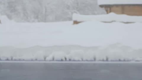 Woman in Bathing Suit in a Lake freezing Cold RANDOM VIDEO OF THE DAY (DAY 4)