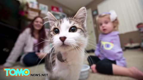 Little girl amputee makes friends with three-legged kitten - TomoNews