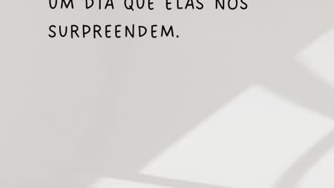 frase do dia