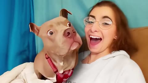 Best dog videos of the decade 🤣 Funny Dog and Human