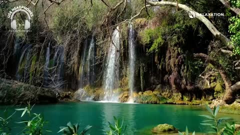 1 hour of of Beautiful Waterfall Relaxing Music with Birds Sound