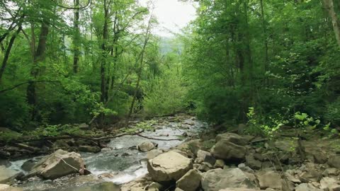 The river running in the forest is destinationless